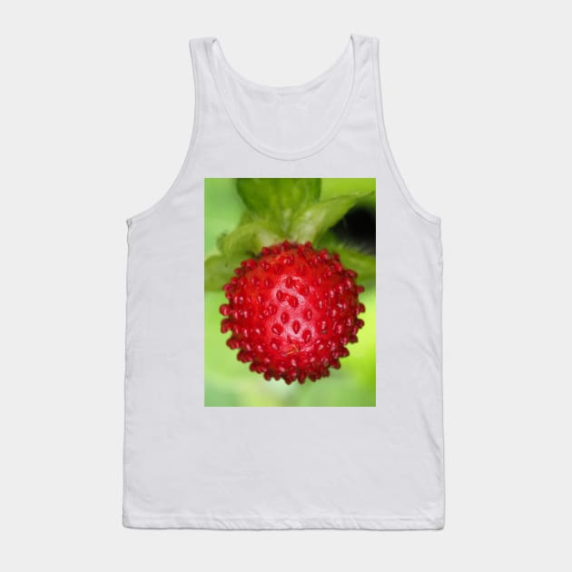 Red berry of Potentilla indica - mock strawberry Tank Top by SDym Photography